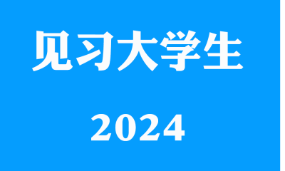 乡镇见习生2024