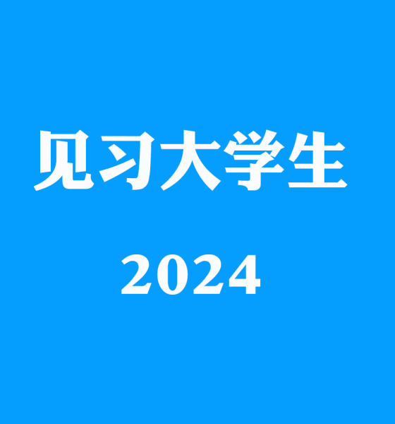 乡镇见习生2024