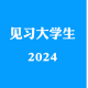 乡镇见习生2024